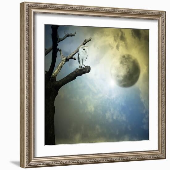 Fantasy Mystery-ValentinaPhotos-Framed Art Print