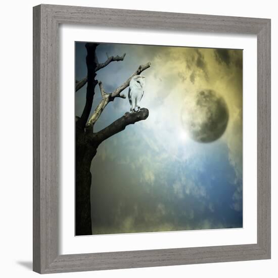 Fantasy Mystery-ValentinaPhotos-Framed Art Print