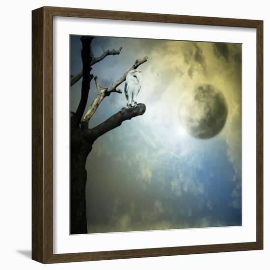 Fantasy Mystery-ValentinaPhotos-Framed Art Print