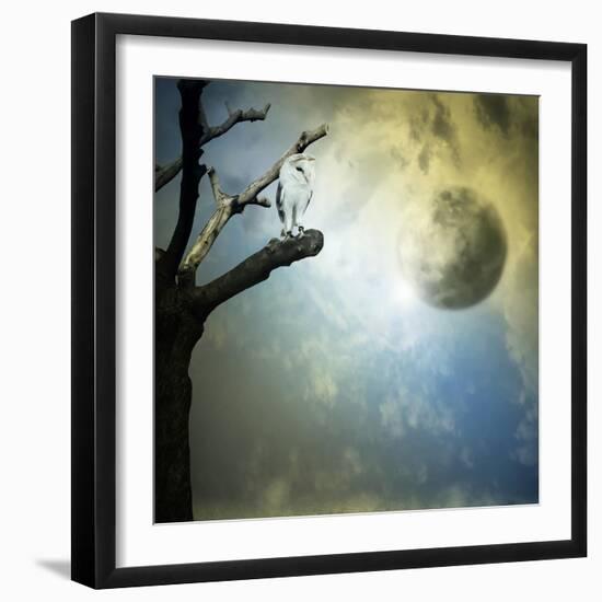 Fantasy Mystery-ValentinaPhotos-Framed Art Print