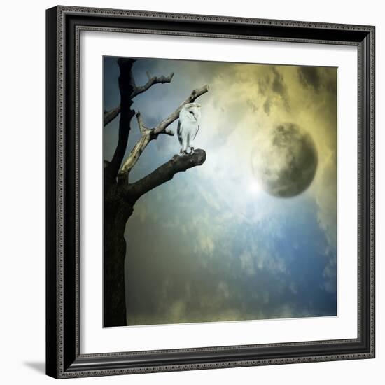 Fantasy Mystery-ValentinaPhotos-Framed Art Print