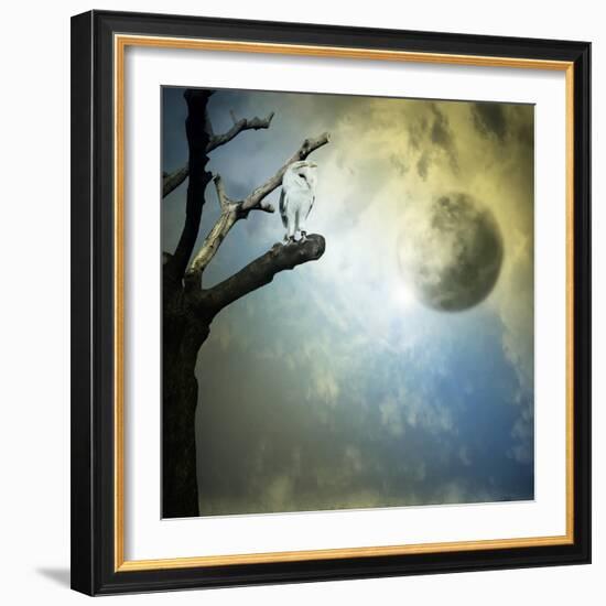 Fantasy Mystery-ValentinaPhotos-Framed Art Print