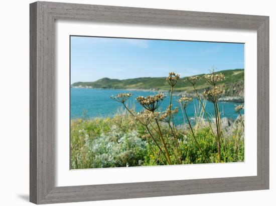 Far Away In The Breeze-Sarah Gardner-Framed Art Print