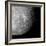 Far Side of the Moon-Detlev Van Ravenswaay-Framed Photographic Print