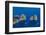 Faraglioni, Island of Capri, Campania, Italy, Europe-Neil Farrin-Framed Photographic Print