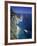 Faraglioni Rocks, Capri, Bay of Naples, Itlay-Gavin Hellier-Framed Photographic Print