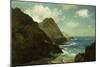 Farallon Islands-Albert Bierstadt-Mounted Giclee Print