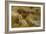 Faraway Thoughts-Ernest Walbourn-Framed Giclee Print