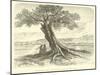 "Farewell-Tree" Between San Sebastian and Cuzco-Édouard Riou-Mounted Giclee Print