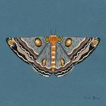 Moth II Sq-Farida Zaman-Art Print