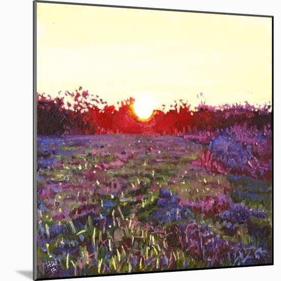 Farley sunset, 2012,-Helen White-Mounted Giclee Print