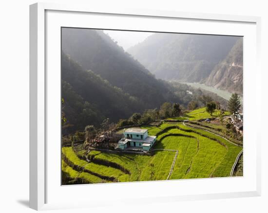 Farm Among a Green Fields Close to Rishikesh, Uttarkhand, India, Asia-null-Framed Photographic Print