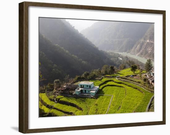 Farm Among a Green Fields Close to Rishikesh, Uttarkhand, India, Asia-null-Framed Photographic Print