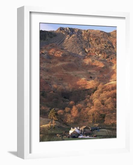 Farm and Lingmoor Fell at Sunrise, Great Langdale, Lake District National Park, Cumbria, England-Ruth Tomlinson-Framed Photographic Print