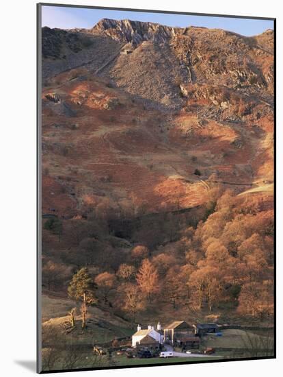 Farm and Lingmoor Fell at Sunrise, Great Langdale, Lake District National Park, Cumbria, England-Ruth Tomlinson-Mounted Photographic Print