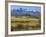 Farm and Sneffels Range-Don Paulson-Framed Giclee Print