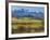 Farm and Sneffels Range-Don Paulson-Framed Giclee Print