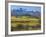 Farm and Sneffels Range-Don Paulson-Framed Giclee Print