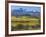 Farm and Sneffels Range-Don Paulson-Framed Giclee Print