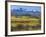Farm and Sneffels Range-Don Paulson-Framed Giclee Print