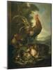 Farm Animals: a Cock, Two Chickens and Seven Chicks-Angiolo Maria Crivelli (Crivellone)-Mounted Art Print