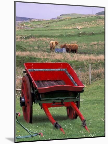 Farm Animals and Wheelbarrow, Kilmuir, Isle of Skye, Scotland-Gavriel Jecan-Mounted Photographic Print