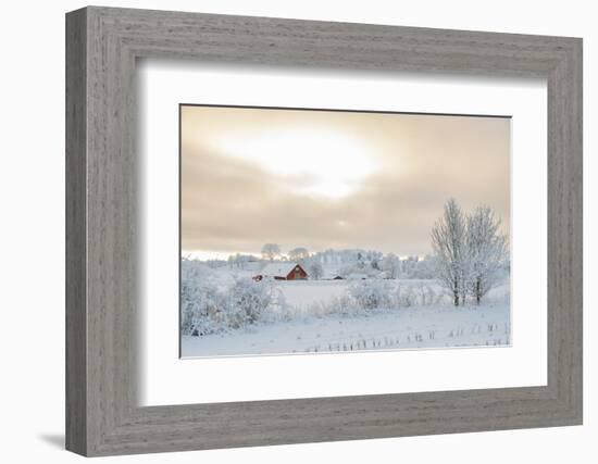 Farm Barn in a Cold Winter Landscape with Snow and Frost-TTphoto-Framed Photographic Print