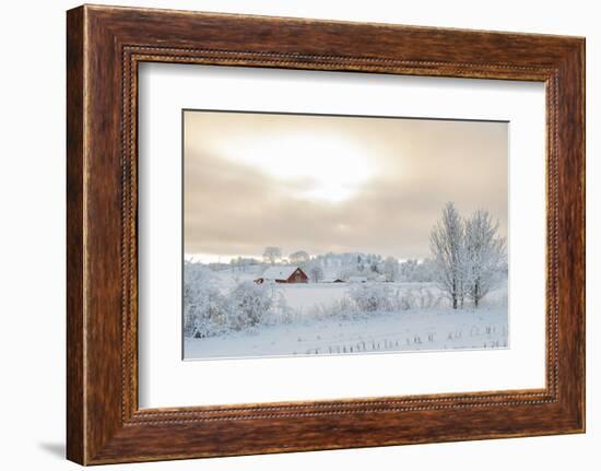 Farm Barn in a Cold Winter Landscape with Snow and Frost-TTphoto-Framed Photographic Print