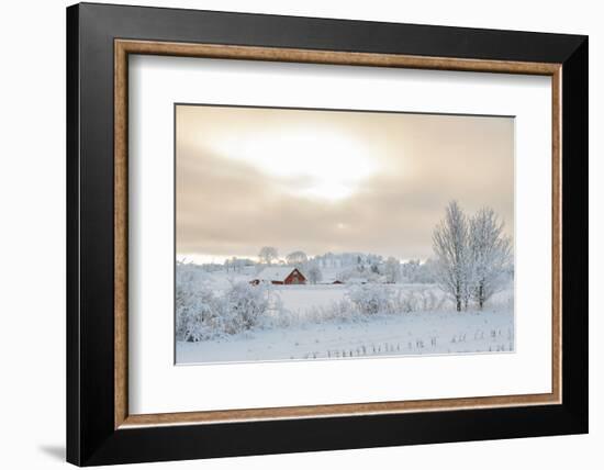 Farm Barn in a Cold Winter Landscape with Snow and Frost-TTphoto-Framed Photographic Print