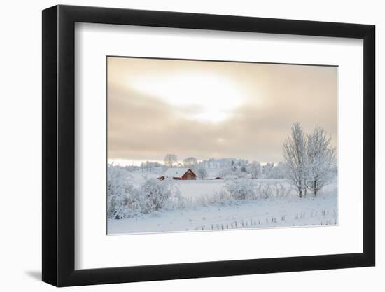 Farm Barn in a Cold Winter Landscape with Snow and Frost-TTphoto-Framed Photographic Print