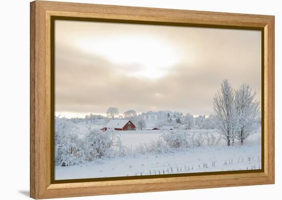 Farm Barn in a Cold Winter Landscape with Snow and Frost-TTphoto-Framed Premier Image Canvas