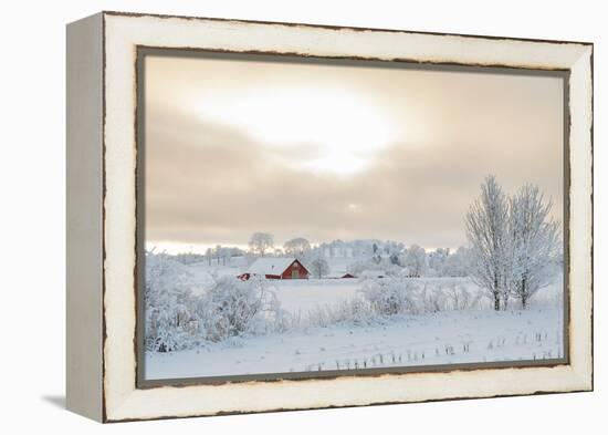 Farm Barn in a Cold Winter Landscape with Snow and Frost-TTphoto-Framed Premier Image Canvas