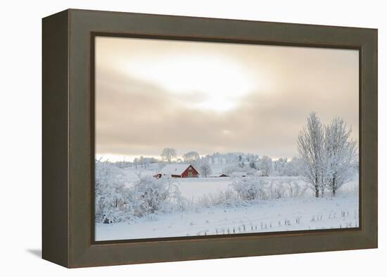 Farm Barn in a Cold Winter Landscape with Snow and Frost-TTphoto-Framed Premier Image Canvas