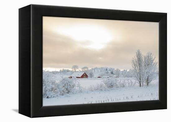 Farm Barn in a Cold Winter Landscape with Snow and Frost-TTphoto-Framed Premier Image Canvas