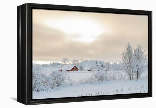 Farm Barn in a Cold Winter Landscape with Snow and Frost-TTphoto-Framed Premier Image Canvas