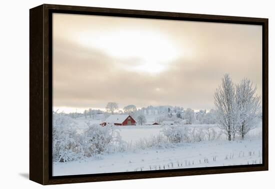 Farm Barn in a Cold Winter Landscape with Snow and Frost-TTphoto-Framed Premier Image Canvas