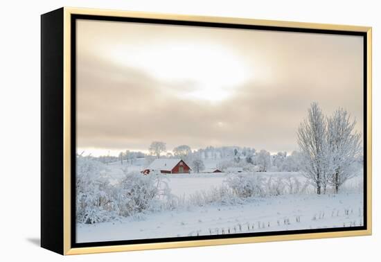 Farm Barn in a Cold Winter Landscape with Snow and Frost-TTphoto-Framed Premier Image Canvas