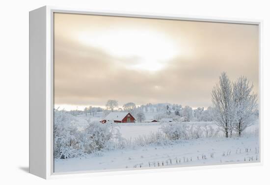 Farm Barn in a Cold Winter Landscape with Snow and Frost-TTphoto-Framed Premier Image Canvas