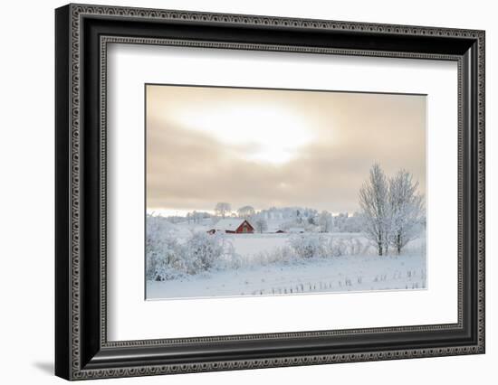 Farm Barn in a Cold Winter Landscape with Snow and Frost-TTphoto-Framed Premium Photographic Print