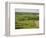 Farm Beside Carreg Cennon Castle, Brecon Beacons National Park, Wales, United Kingdom, Europe-Julian Pottage-Framed Photographic Print