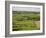 Farm Beside Carreg Cennon Castle, Brecon Beacons National Park, Wales, United Kingdom, Europe-Julian Pottage-Framed Photographic Print