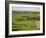 Farm Beside Carreg Cennon Castle, Brecon Beacons National Park, Wales, United Kingdom, Europe-Julian Pottage-Framed Photographic Print