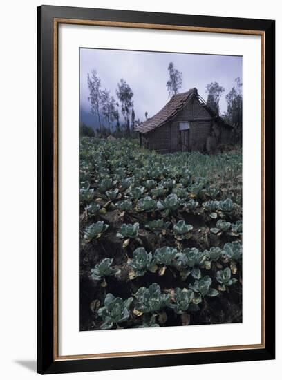 Farm Building In Bromo-Tengger-Semeru National Park, Java, Indonesia-Daniel Gomez-Framed Photographic Print