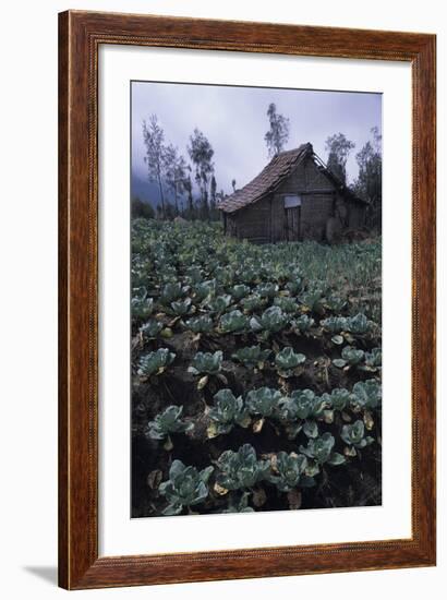 Farm Building In Bromo-Tengger-Semeru National Park, Java, Indonesia-Daniel Gomez-Framed Photographic Print