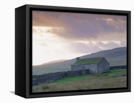 Farm Building, Swaledale, Yorkshire Dales National Park, Yorkshire, England, UK, Europe-Mark Mawson-Framed Premier Image Canvas