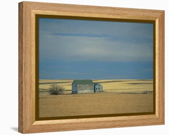 Farm Buildings on the Prairie, North Dakota, USA-Robert Francis-Framed Premier Image Canvas