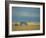 Farm Buildings on the Prairie, North Dakota, USA-Robert Francis-Framed Photographic Print