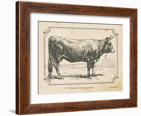 Farm Bull I-Gwendolyn Babbitt-Framed Art Print