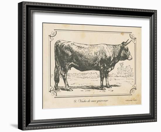 Farm Bull I-Gwendolyn Babbitt-Framed Art Print