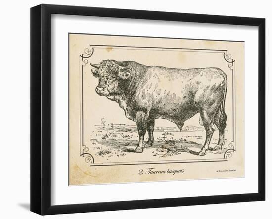 Farm Bull II-Gwendolyn Babbitt-Framed Art Print